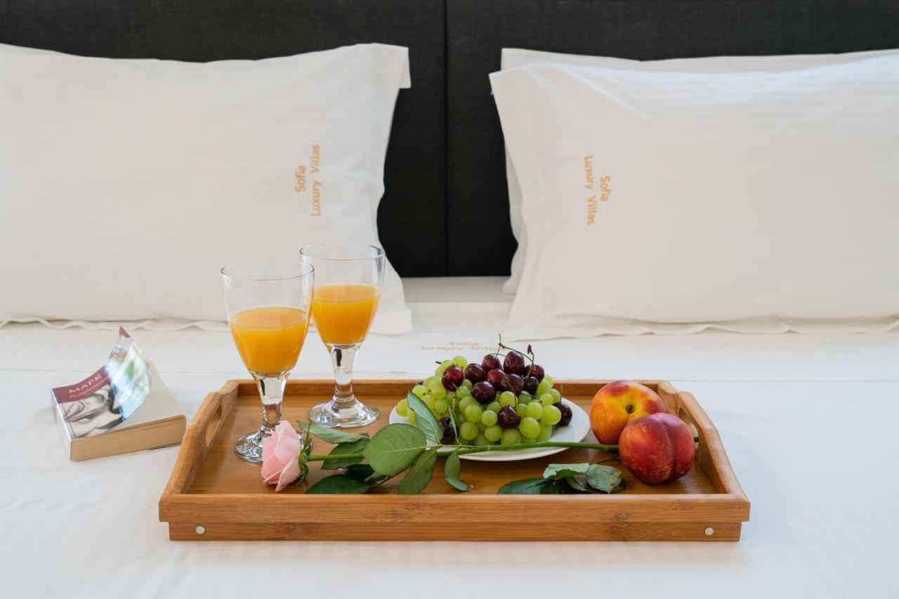 Sofia Luxury Villa